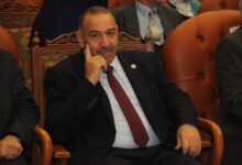 حزب شعب مصر - ثورة 30 يونيو